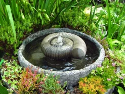 Statues & Sculptures Water Features^Ammonite Fossil Stone Garden Water Feature