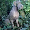 Statues & Sculptures Dogs^Great Dane Male Dog Stone Garden Statue