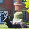 Statues & Sculptures Stags & Deers^Laying Deer Stag Bronze Metal Garden Statue